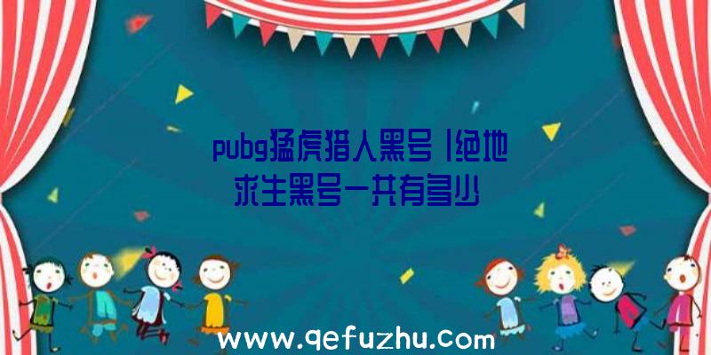 「pubg猛虎猎人黑号」|绝地求生黑号一共有多少